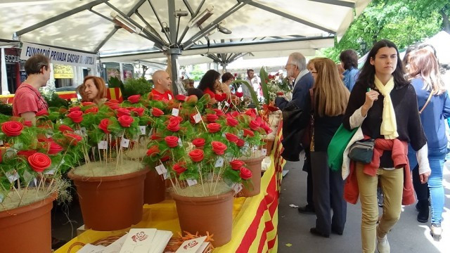 Un Sant Jordi de color y de todos