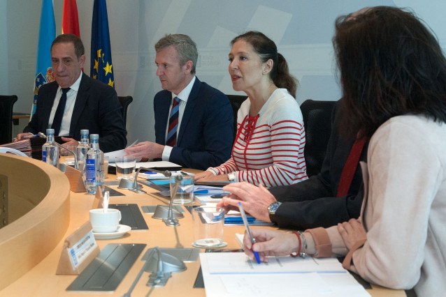 El vicepresidente de la Xunta, Alfonso Rueda, preside el Consello