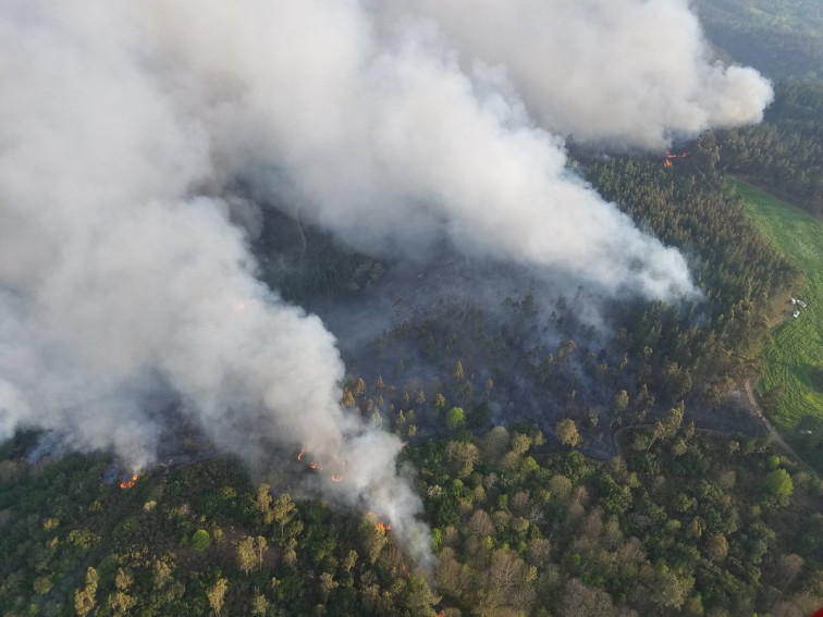 Ya están aquí los incendios forestales