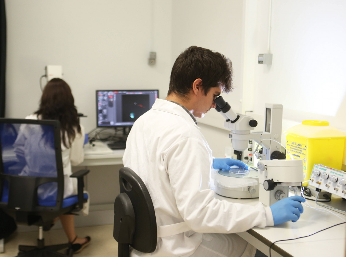 Investigacion cancer