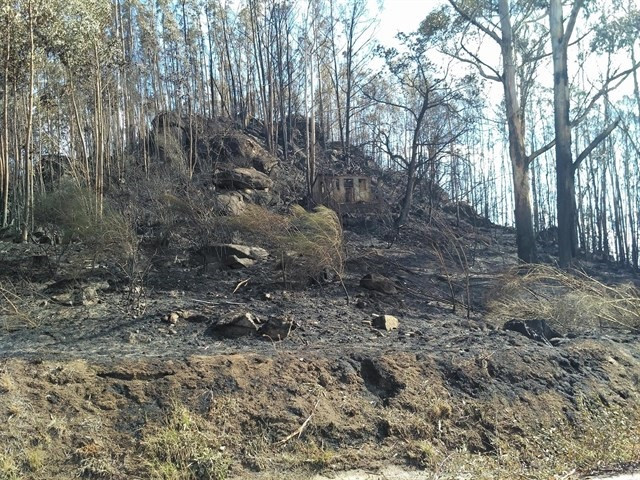 Suelo calcinado en un incendio en Galicia