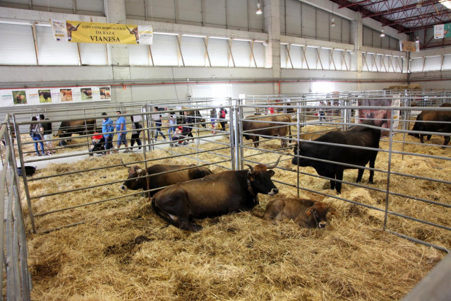 Razas autóctonas en peligro de extinción en la Semana Verde