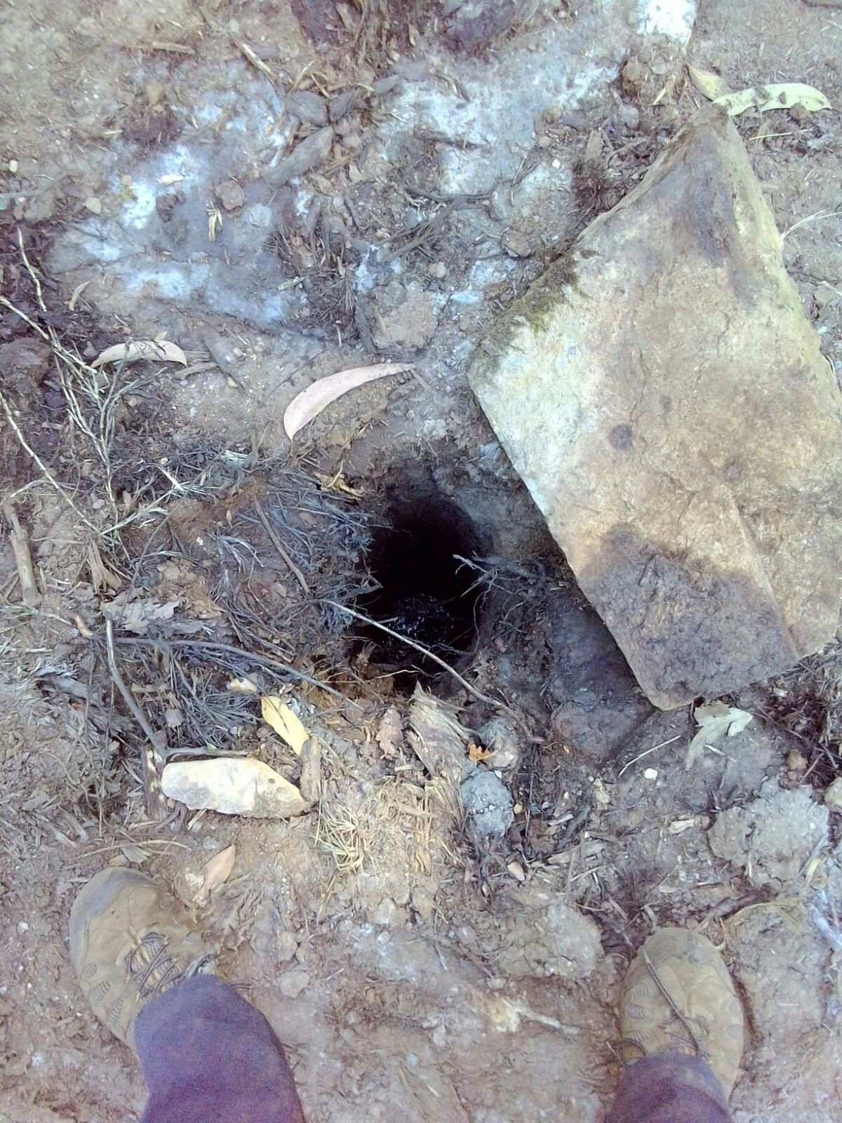 Sondeos opino touro mina