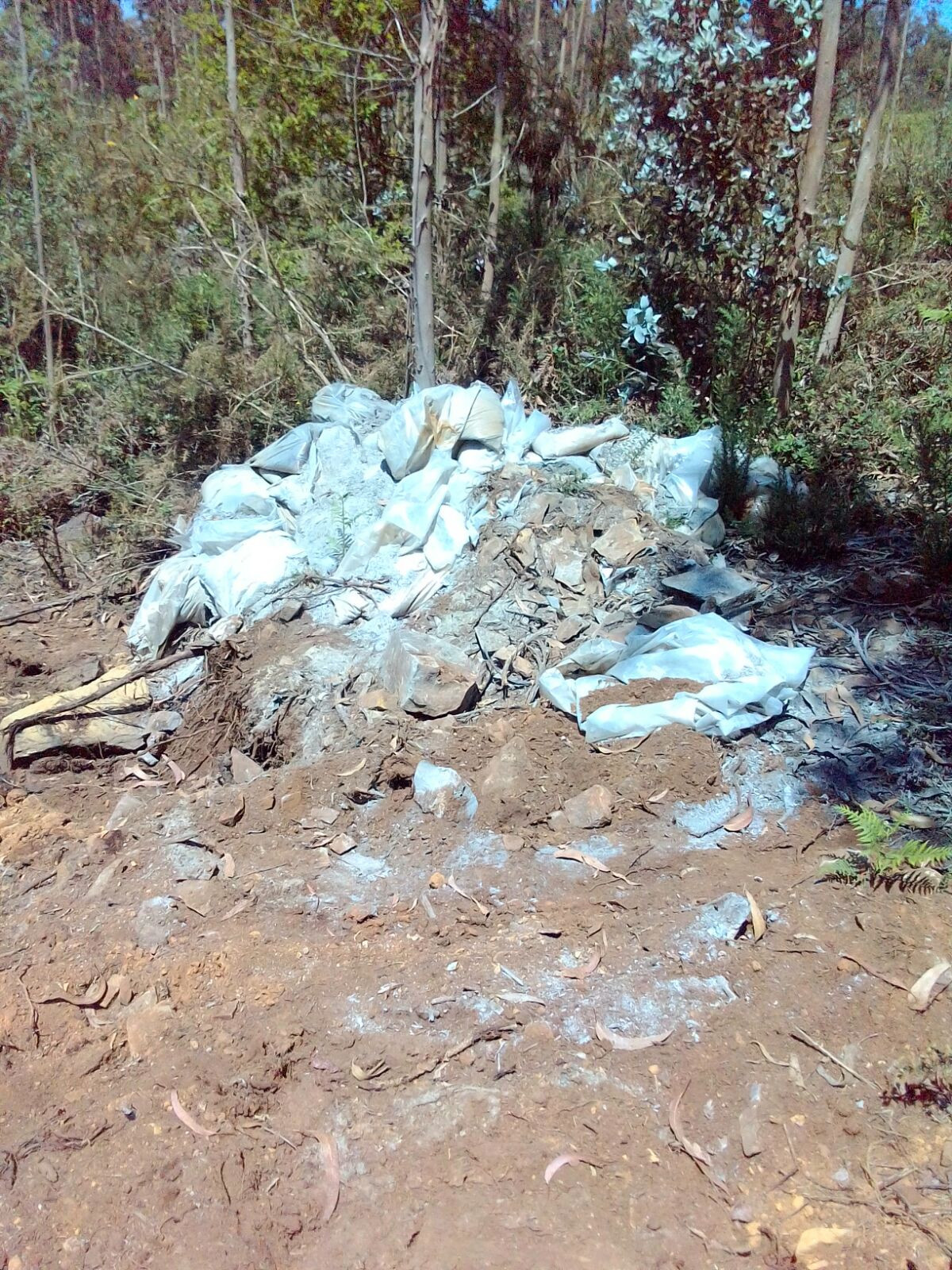 Mina opino sondeos touro