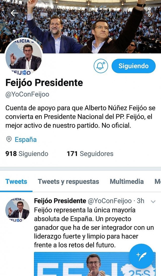 Cuenta de apoyo a Feijóo como presidente del PP