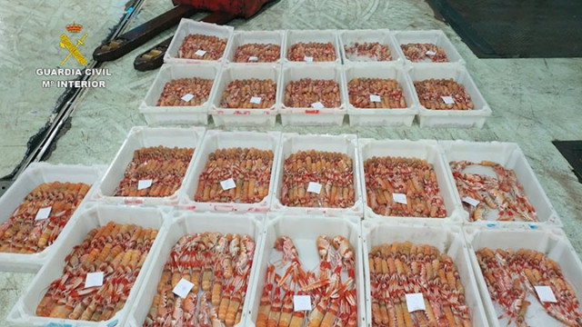 Cigala incautada en la lonja de A Coruña