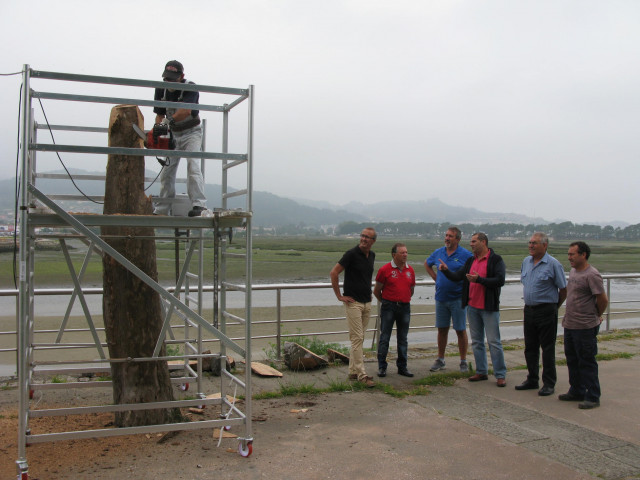 Tala de árboles previa a la celebración del evento 'Arte no Queimado'