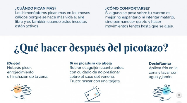 Consejos ante picaduras de abejas o avispas