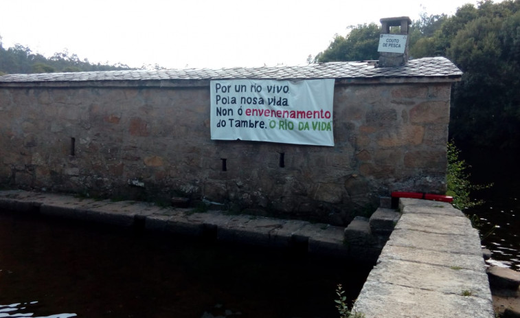 El vecindario de la playa de Tapia sigue sin información sobre los peces muertos y la supuesta contaminación del Tambre