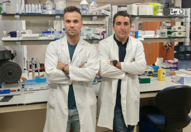 Médicos gallegos logran un nuevo tratamiento para combatir el ictus
