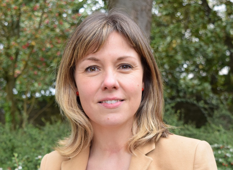 Pilar garcia porto deputacion lugo psoe