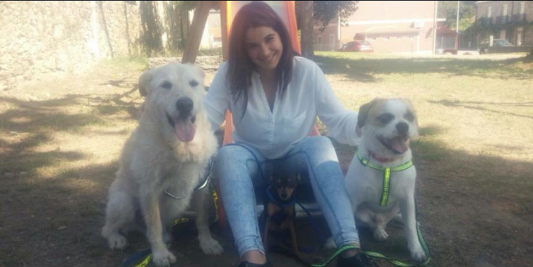 Pesar por la muerte del perro maltratado cuyo antiguo dueño fue condenado a cárcel