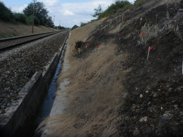 Uno de los incendios esclarecidos, en Taboadela (Ourense)