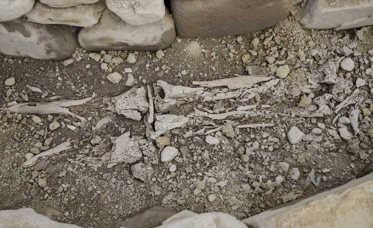 Un equipo arqueológico encuentra una mandíbula y un cráneo casi completo en el castro de San Lourenzo