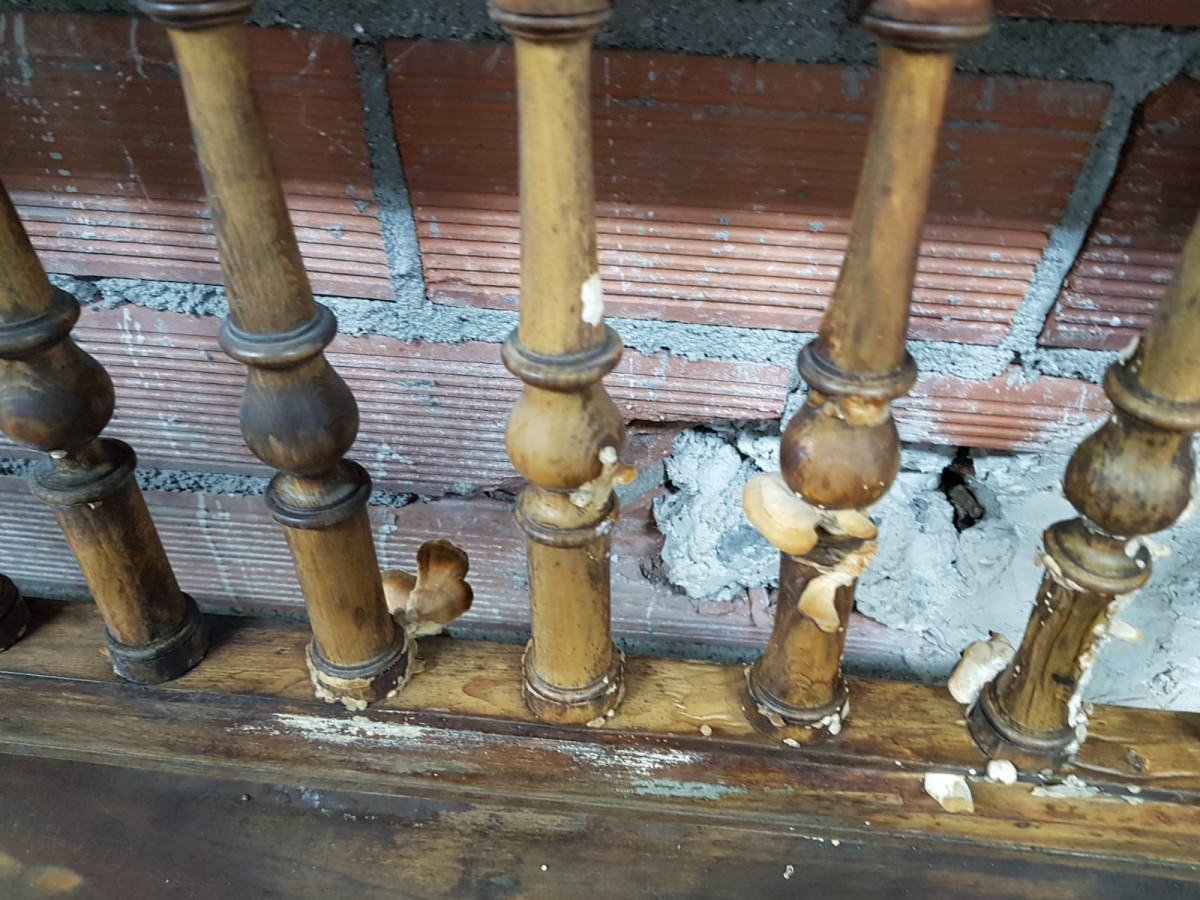 2018 09 03 arquivo pezas conviccion 002