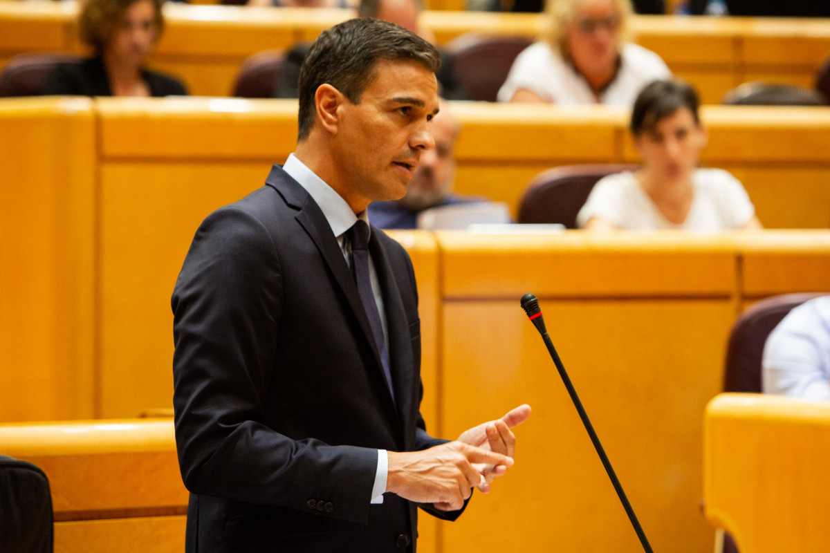 El presidente del Gobierno Pedro Sánchez en el Senado