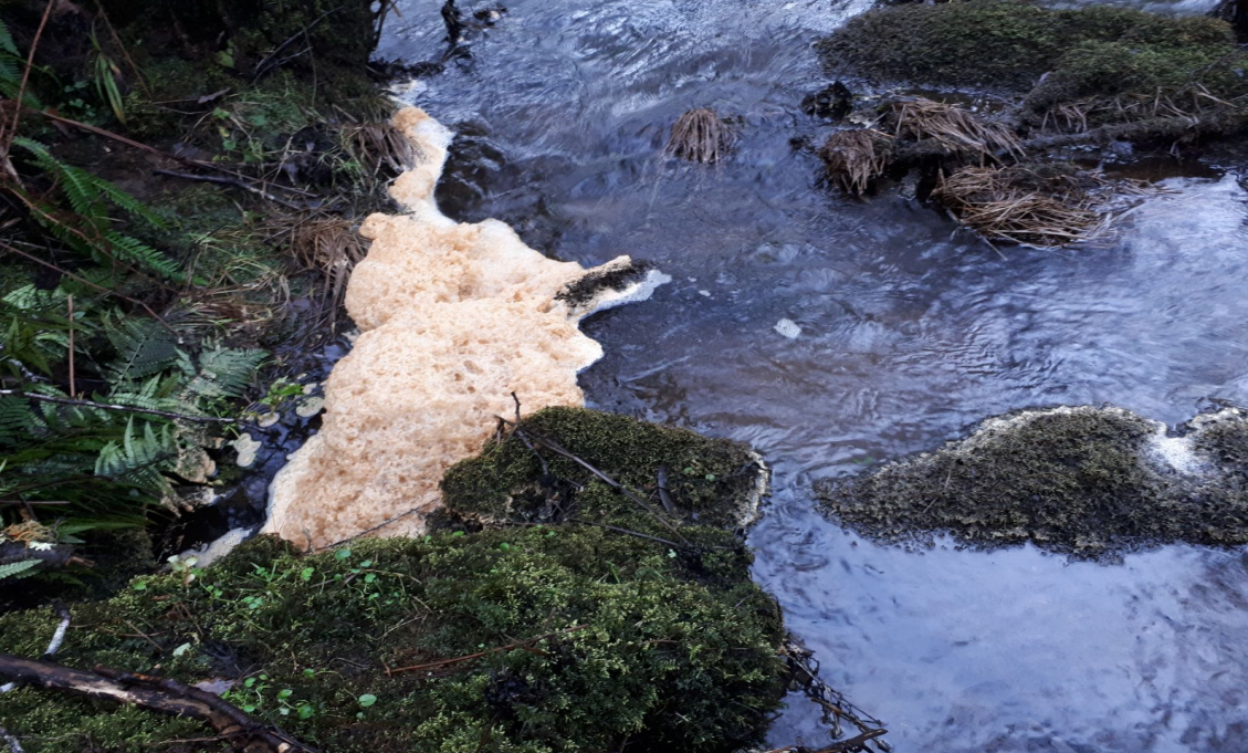 Río brandelos mina touro o pino non