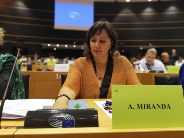 Ana Miranda, eurodiputada