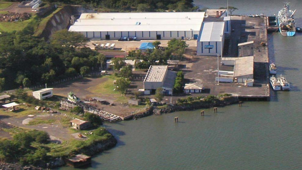 Grupo calvo el salvador vipeco