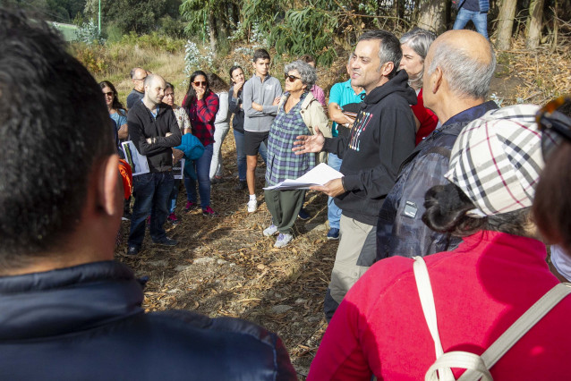 Xulio Ferreiro Bosque de Breogán