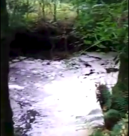Nuevo vídeo-denuncia de contaminación vinculada a la mina de Touro
