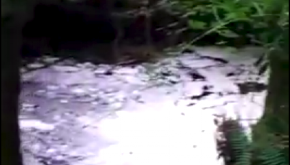 Rio lañas contaminado mina touro