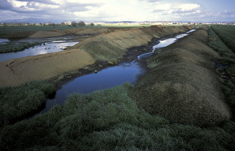 Mega esterqueira polos Sandias 1web