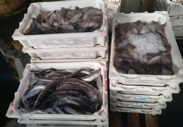 Os Gardacostas Requisan Preto De Cinco Toneladas De Produtos Do Mar, Máis De 400