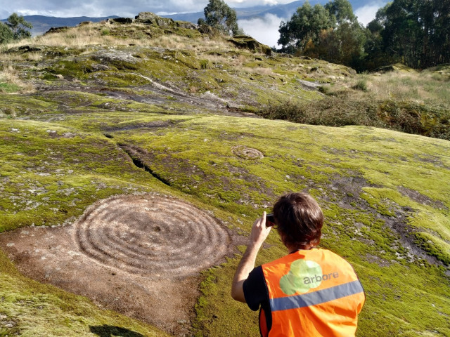 Petroglifos de Pé de Mula, en Mondariz (Pontevedra)