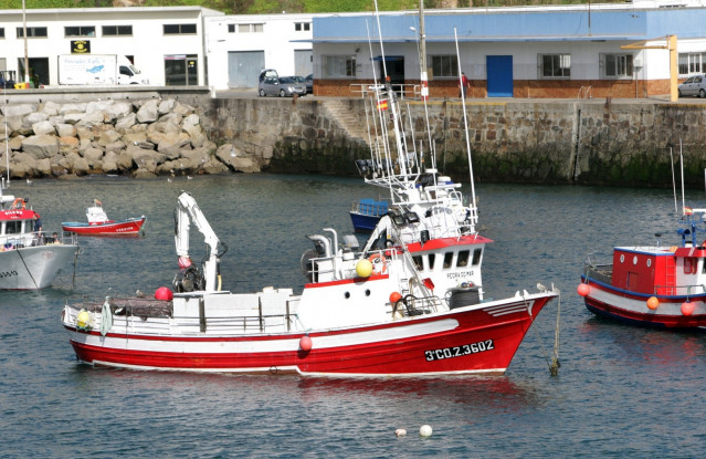 Pesca, barco, embarcación, mar, sector pesquero, costa