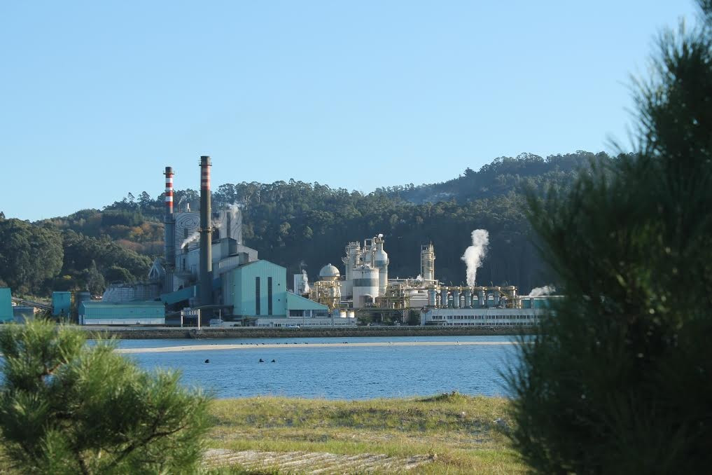 Ence en la ría de Pontevedra