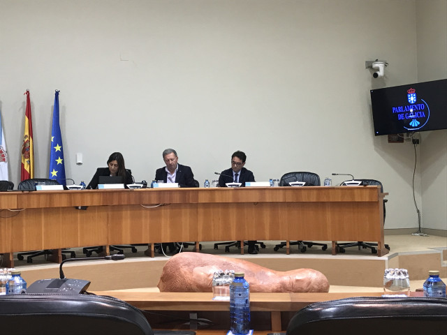 Comparencia de Felipe Calle Vellés en el Parlamento