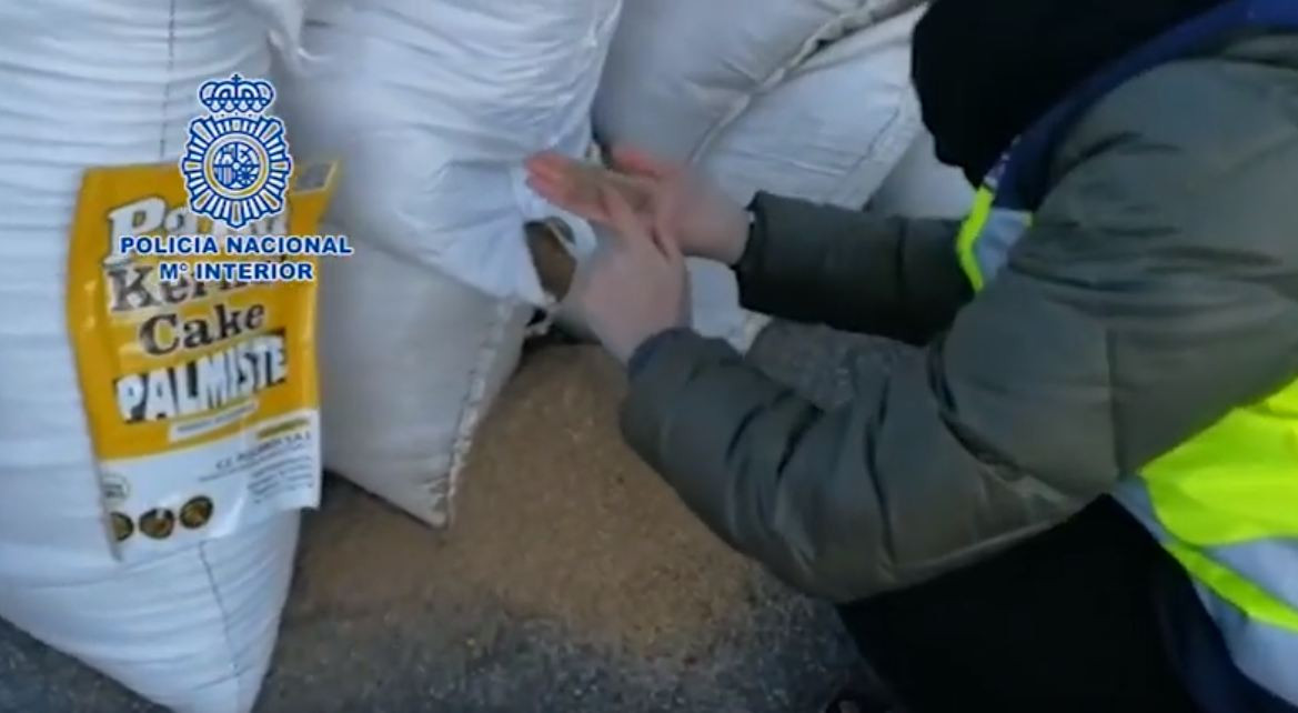 Policia nacional palma aceite porto de marin