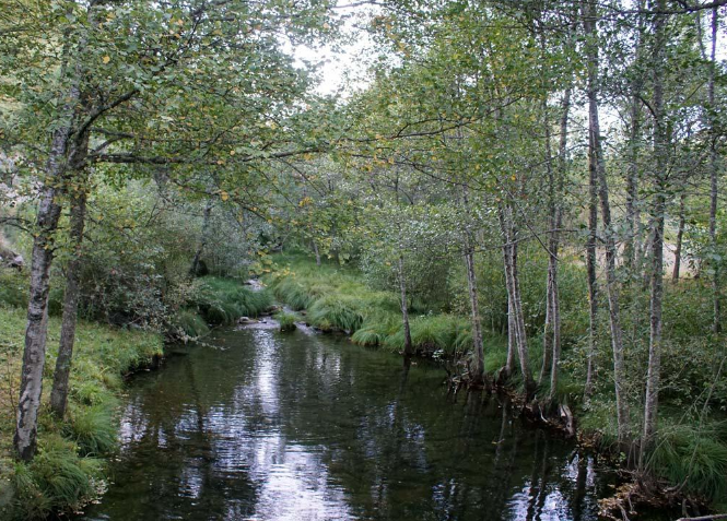 Parque natural invernadoiro