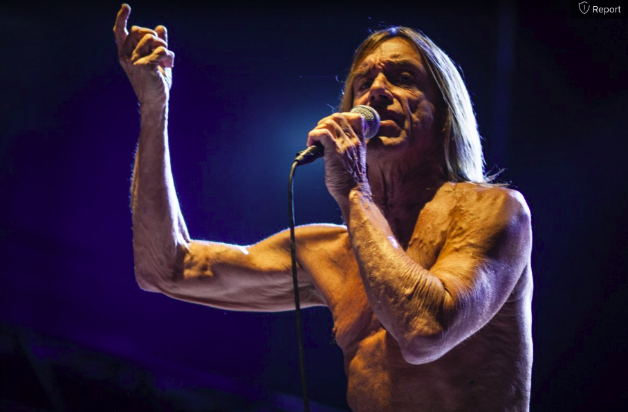 Iggy pop live pxhere didy photography