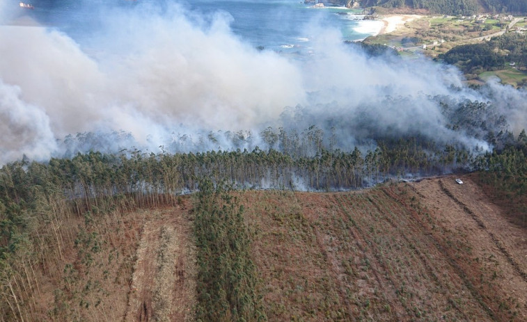 Extinguido un incendio  tras quemar más de 25 hectáreas, muchas de eucalipto