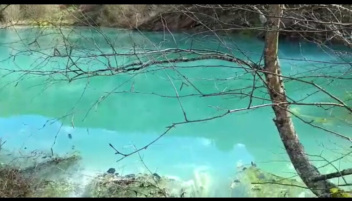 Touro agua contaminada