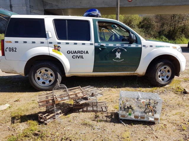 El Seprona libera una partida de aves silvestres ilegalmente capturadas en Redon
