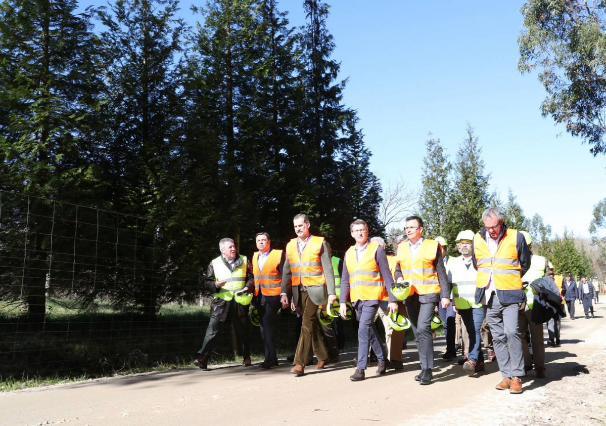 Rey felipe feiju00f3o pinos