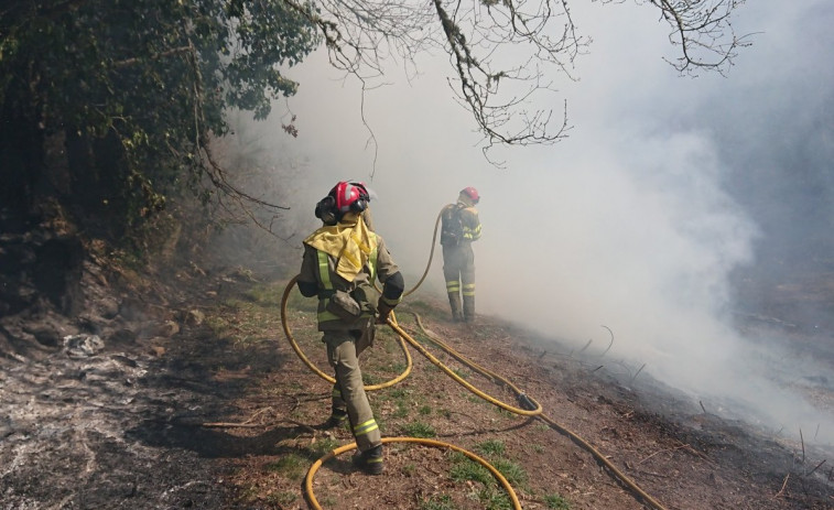 Alerta por el riesgo de incendios, que ya quemaron 123 hectáreas este domingo (vídeos)