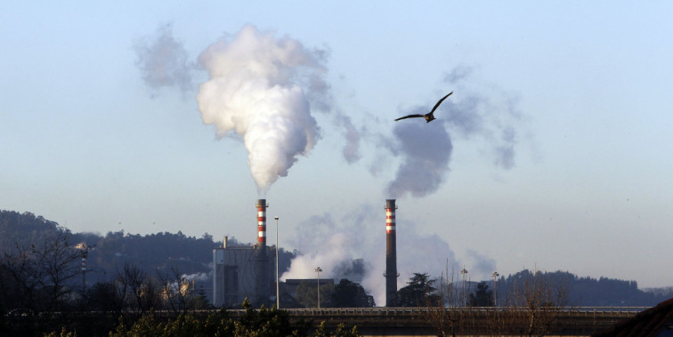 Ence anuncia un plan de investimentos para continuar na ría de Pontevedra