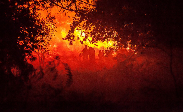 Una película sobre los incendios en Galicia competirá en el Festival de Cannes