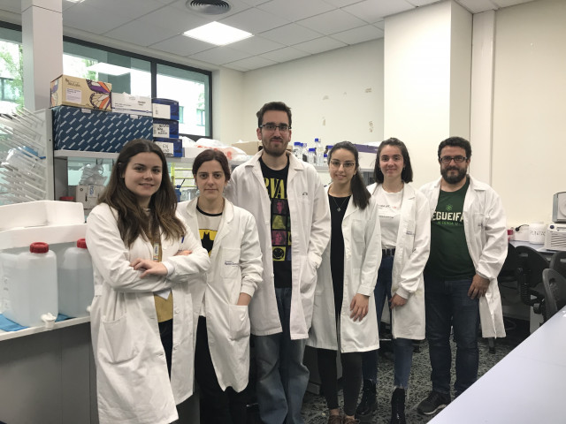 Investigadores del IDIS descubren que la identidad celular tumoral es clave para el desarrollo del cáncer