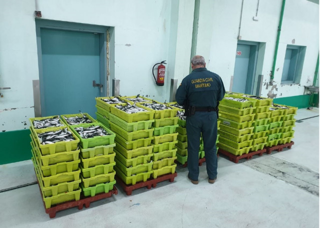 Pesca.- Intervenidos más de 2.000 kilos de sardina en Carballo sin el etiquetado que garantice su trazabilidad