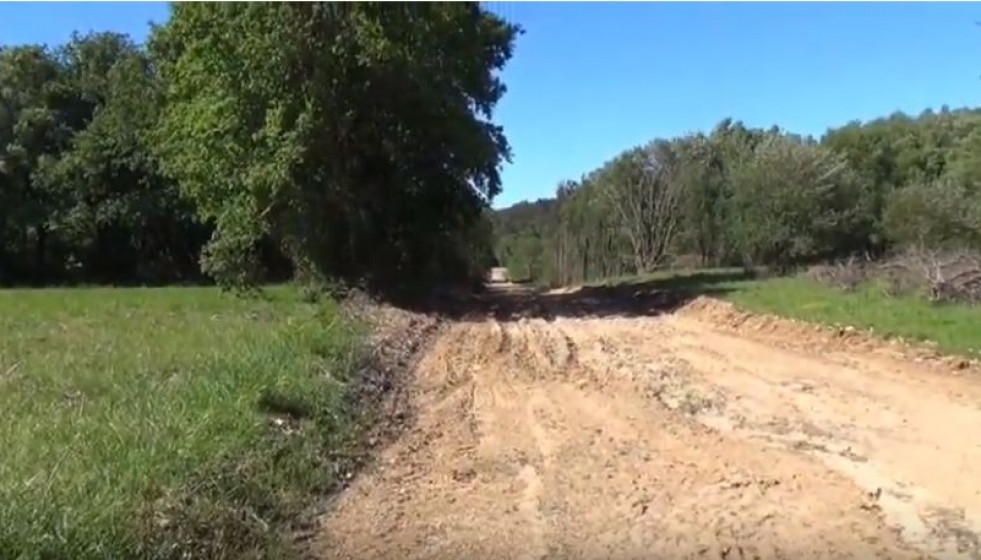 Pista parcelaria forestal curtis fisteus bosque arco iris