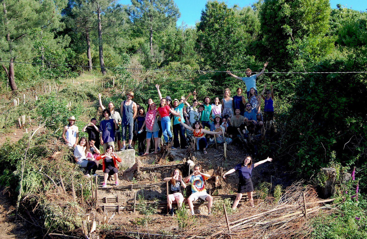 Voluntarios erasmus arrancando acacias vigo castrelos