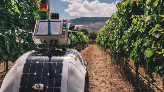 El Cetal organiza este lunes en Meis (Pontevedra) una jornada sobre nuevas tecnologías en viticultura.