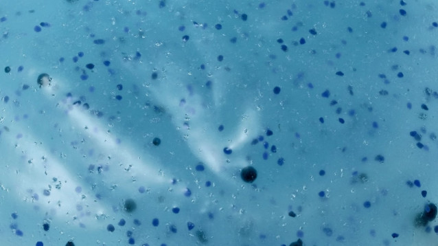 Microplásticos en el agua