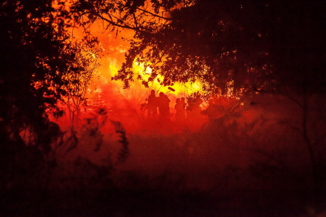 Oliver Laxe graba en un incendio para 'O que arde'