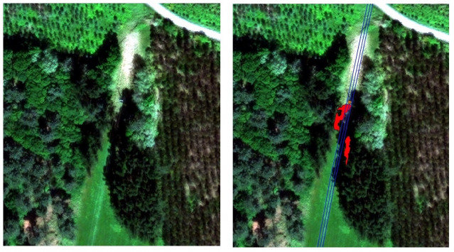 Proyecto innovador para la gestión de masas forestales en las líneas eléctricas